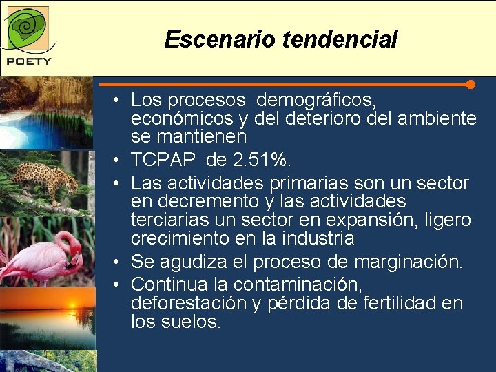 Escenario tendencial • Los procesos demográficos, económicos y del deterioro del ambiente se mantienen