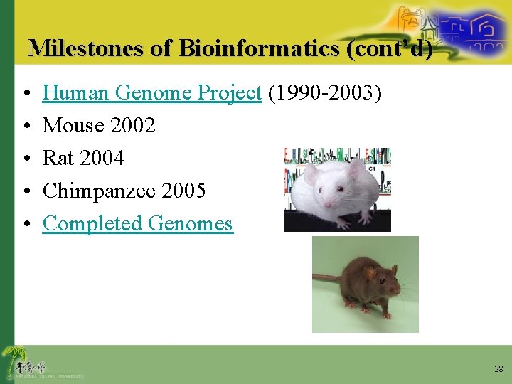 Milestones of Bioinformatics (cont’d) • • • Human Genome Project (1990 -2003) Mouse 2002
