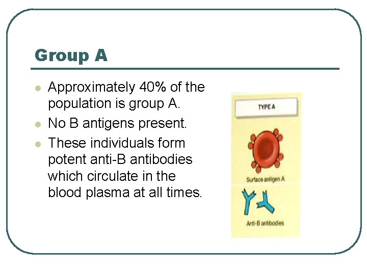 Group A l l l Approximately 40% of the population is group A. No