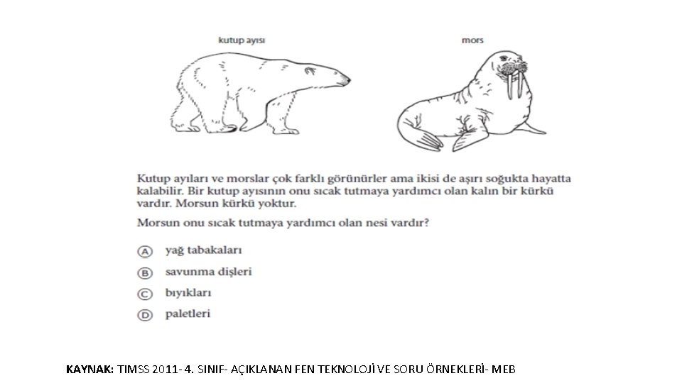 KAYNAK: TIMSS 2011 - 4. SINIF- AÇIKLANAN FEN TEKNOLOJİ VE SORU ÖRNEKLERİ- MEB 