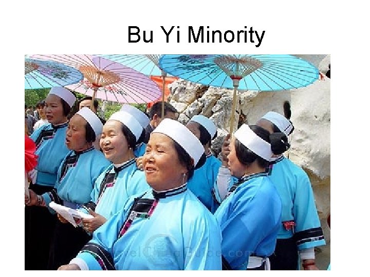 　Bu Yi Minority 