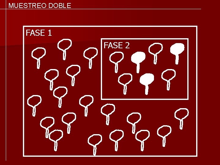 MUESTREO DOBLE FASE 1 FASE 2 