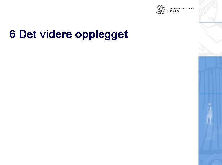 6 Det videre opplegget 