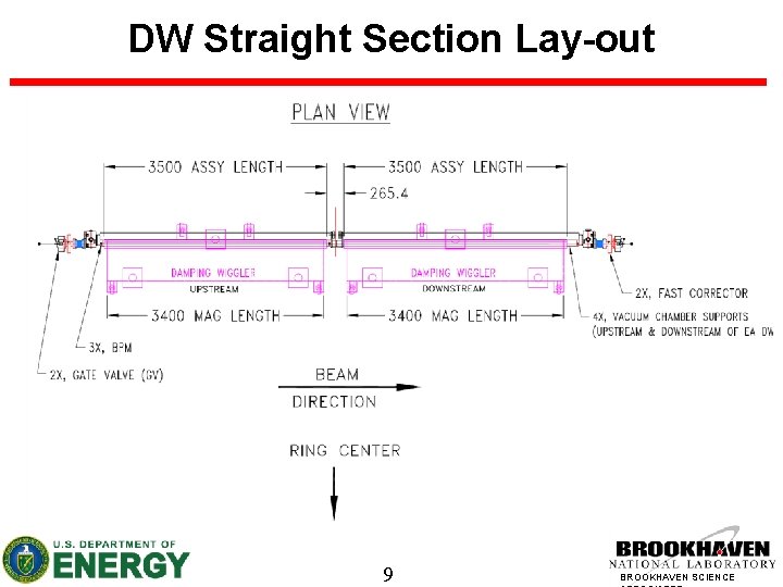 DW Straight Section Lay-out 9 BROOKHAVEN SCIENCE 
