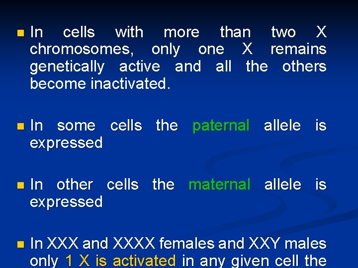 n In cells with more than two X chromosomes, only one X remains genetically