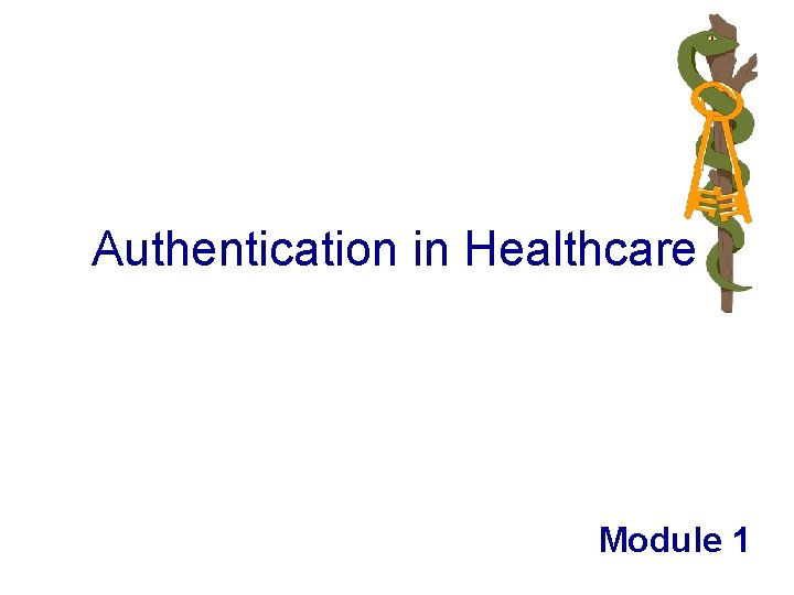 Authentication in Healthcare Module 1 