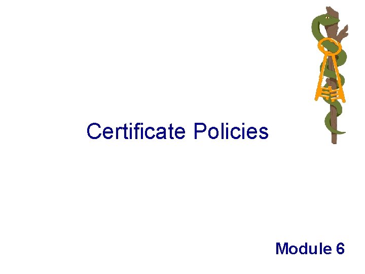 Certificate Policies Module 6 
