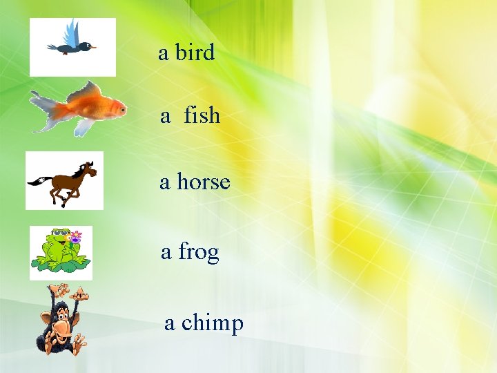 a bird a fish a horse a frog a chimp 