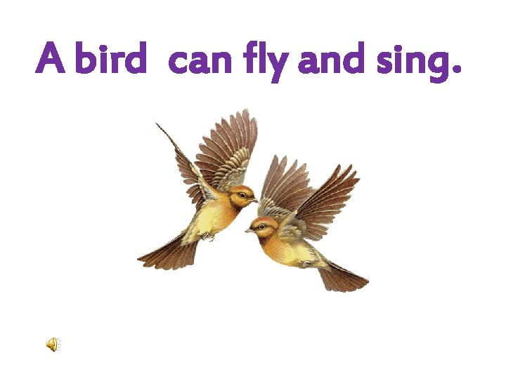 A bird can fly and sing. 