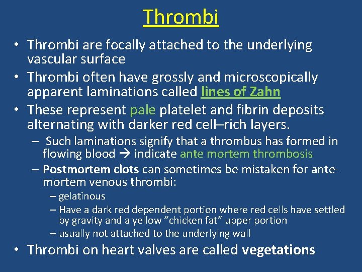 Thrombi • Thrombi are focally attached to the underlying vascular surface • Thrombi often