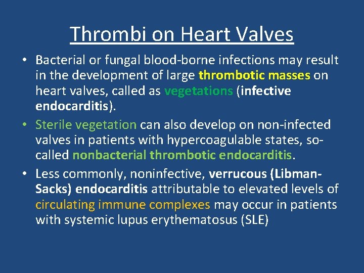 Thrombi on Heart Valves • Bacterial or fungal blood-borne infections may result in the