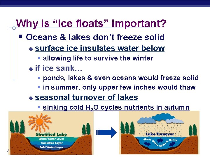 Why is “ice floats” important? § Oceans & lakes don’t freeze solid u surface