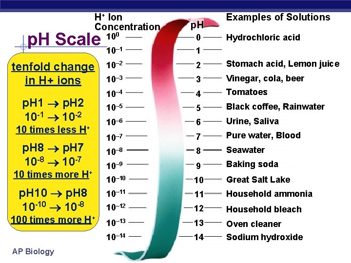 H+ Ion Concentration p. H Scale tenfold change in H+ ions p. H 1