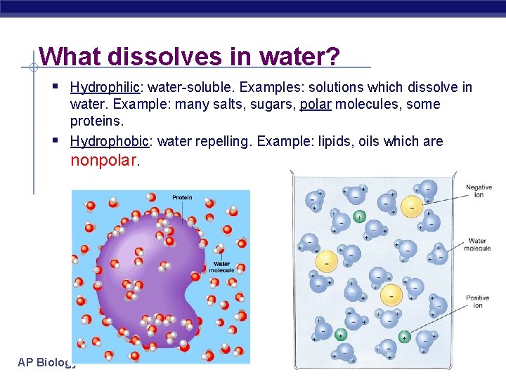 What dissolves in water? § Hydrophilic: water-soluble. Examples: solutions which dissolve in § water.