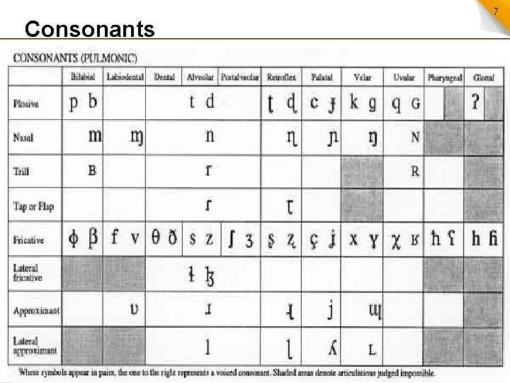 Consonants 7 