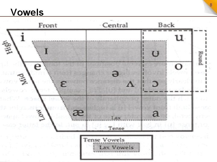 Vowels 8 