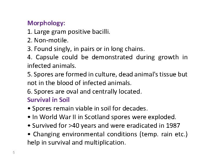 Morphology: 1. Large gram positive bacilli. 2. Non-motile. 3. Found singly, in pairs or