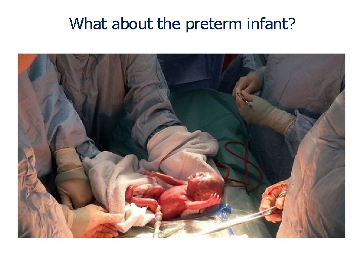 What about the preterm infant? 