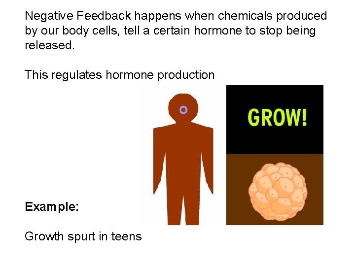 Negative Feedback happens when chemicals produced by our body cells, tell a certain hormone