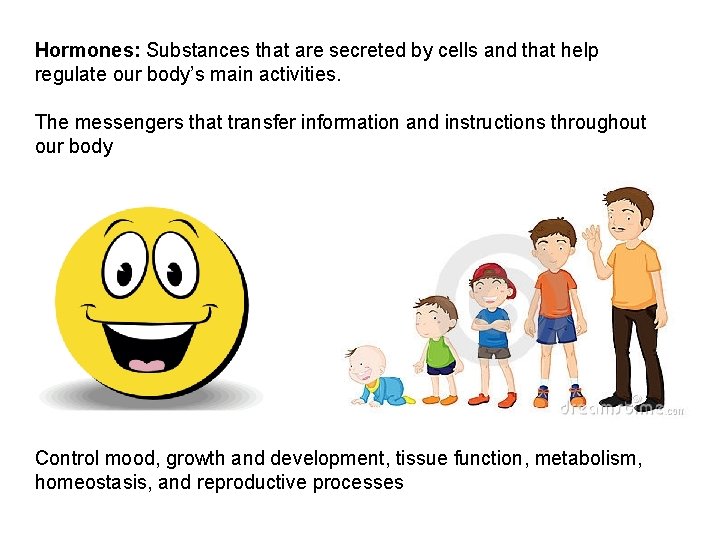 Hormones: Substances that are secreted by cells and that help regulate our body’s main