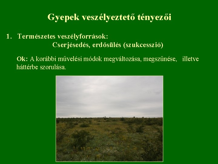 Gyepek veszélyeztető tényezői 1. Természetes veszélyforrások: Cserjésedés, erdősülés (szukcesszió) Ok: A korábbi művelési módok
