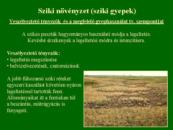 Sziki növényzet (sziki gyepek) Veszélyeztető tényezők és a megfelelő gyephasználat tv. szempontjai A szikes