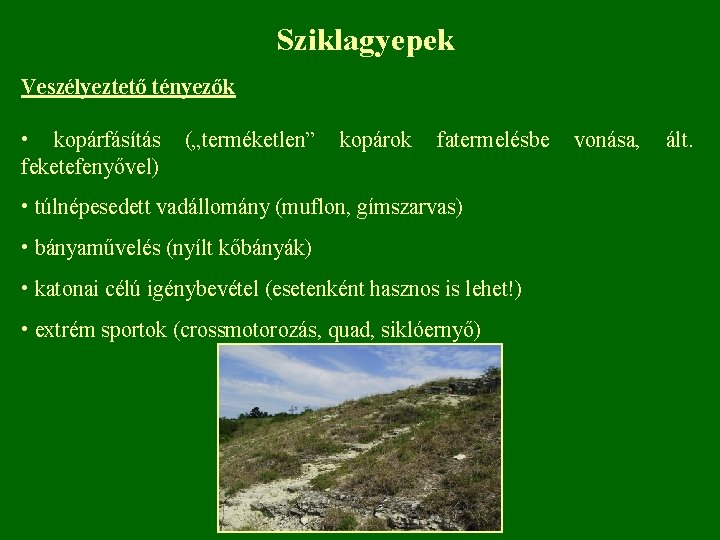 Sziklagyepek Veszélyeztető tényezők • kopárfásítás („terméketlen” kopárok fatermelésbe vonása, ált. feketefenyővel) • túlnépesedett vadállomány