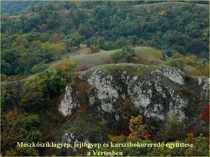 Mészkősziklagyep, lejtőgyep és karsztbokoreredő együttese a Vértesben 