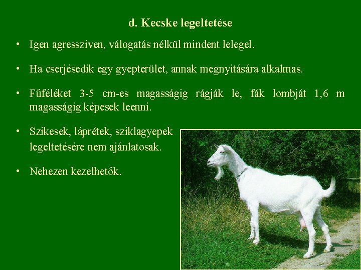 d. Kecske legeltetése • Igen agresszíven, válogatás nélkül mindent lelegel. • Ha cserjésedik egy