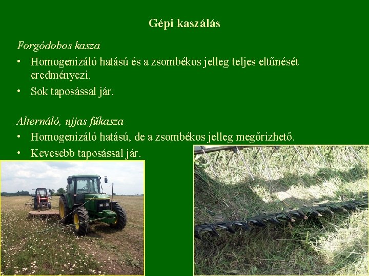 Gépi kaszálás Forgódobos kasza • Homogenizáló hatású és a zsombékos jelleg teljes eltűnését eredményezi.