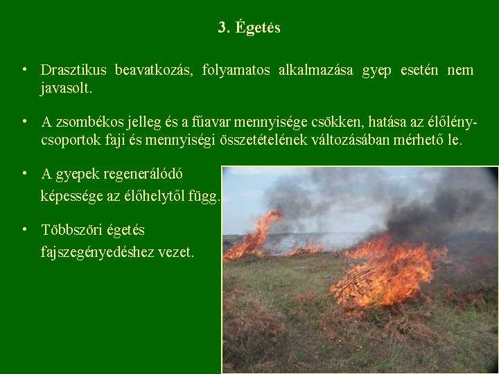 3. Égetés • Drasztikus beavatkozás, folyamatos alkalmazása gyep esetén nem javasolt. • A zsombékos