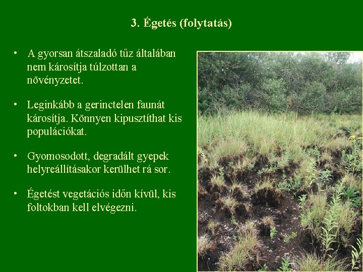 3. Égetés (folytatás) • A gyorsan átszaladó tűz általában nem károsítja túlzottan a növényzetet.