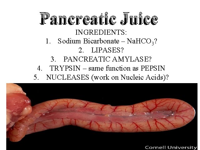 Pancreatic Juice INGREDIENTS: 1. Sodium Bicarbonate – Na. HCO 3? 2. LIPASES? 3. PANCREATIC