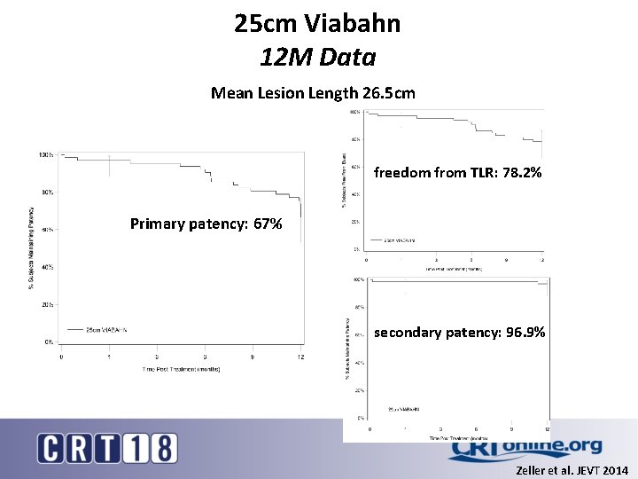 25 cm Viabahn 12 M Data Mean Lesion Length 26. 5 cm freedom from