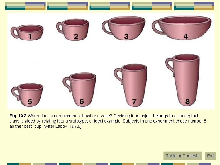 Fig. 10. 3 When does a cup become a bowl or a vase? Deciding