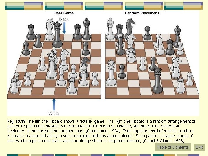 Fig. 10. 18 The left chessboard shows a realistic game. The right chessboard is