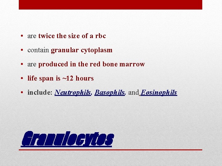  • are twice the size of a rbc • contain granular cytoplasm •