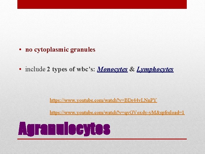  • no cytoplasmic granules • include 2 types of wbc’s: Monocytes & Lymphocytes