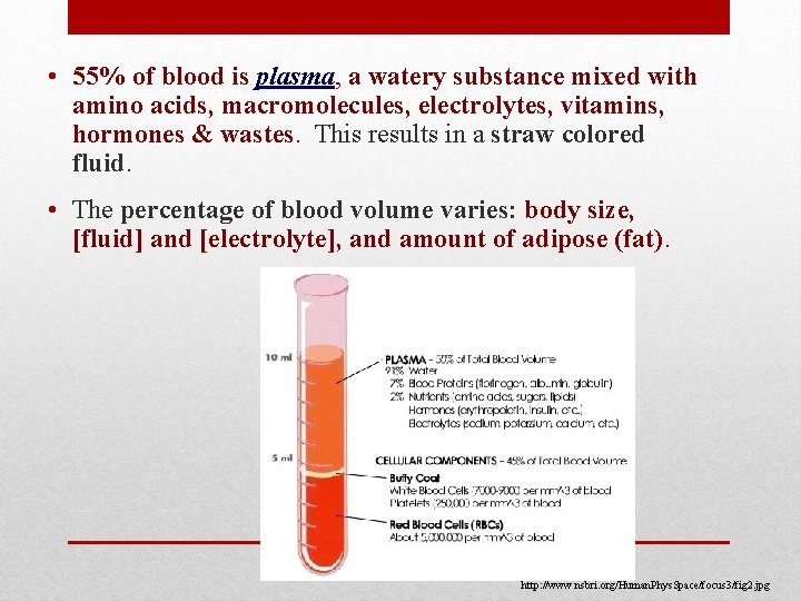  • 55% of blood is plasma, a watery substance mixed with amino acids,