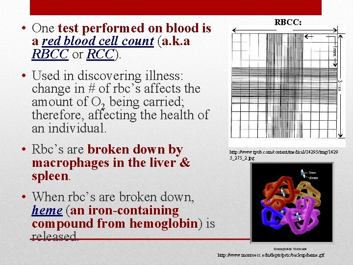  • One test performed on blood is a red blood cell count (a.