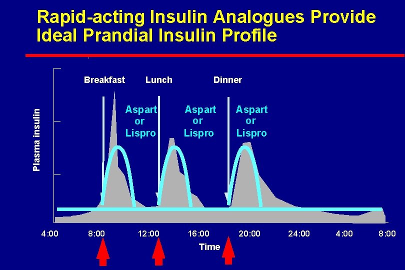 Rapid-acting Insulin Analogues Provide Ideal Prandial Insulin Profile Breakfast Lunch Plasma insulin Aspart or
