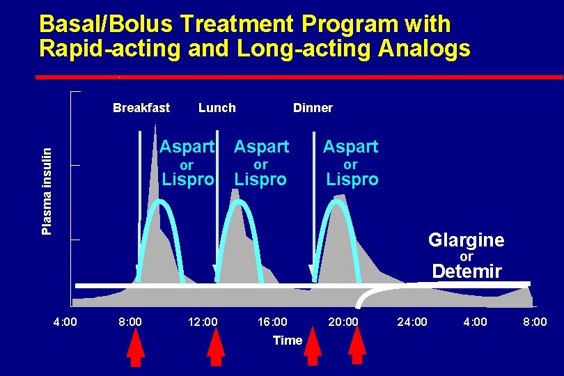 Basal/Bolus Treatment Program with Rapid-acting and Long-acting Analogs Plasma insulin Breakfast Lunch Dinner Aspart