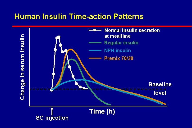 Human Insulin Time-action Patterns Change in serum insulin Normal insulin secretion at mealtime Regular