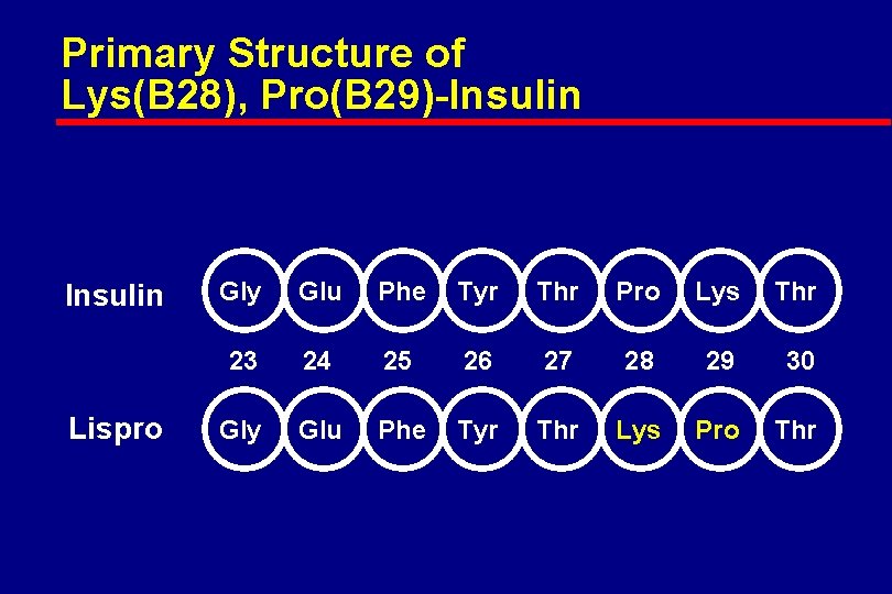 Primary Structure of Lys(B 28), Pro(B 29)-Insulin Lispro Gly Glu Phe Tyr Thr Pro