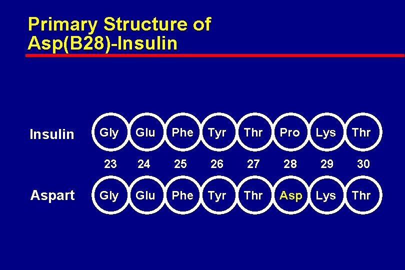 Primary Structure of Asp(B 28)-Insulin Aspart Gly Glu Phe Tyr Thr Pro Lys Thr