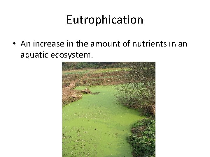 Eutrophication • An increase in the amount of nutrients in an aquatic ecosystem. 