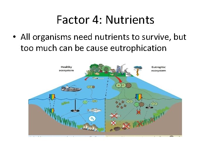 Factor 4: Nutrients • All organisms need nutrients to survive, but too much can