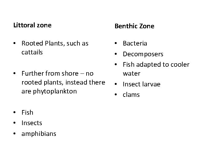 Littoral zone Benthic Zone • Rooted Plants, such as cattails • Bacteria • Decomposers