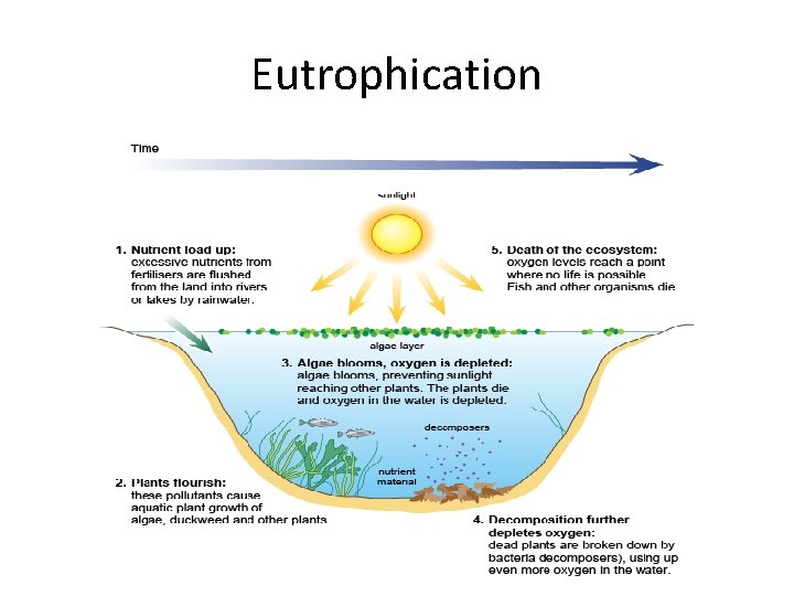 Eutrophication 