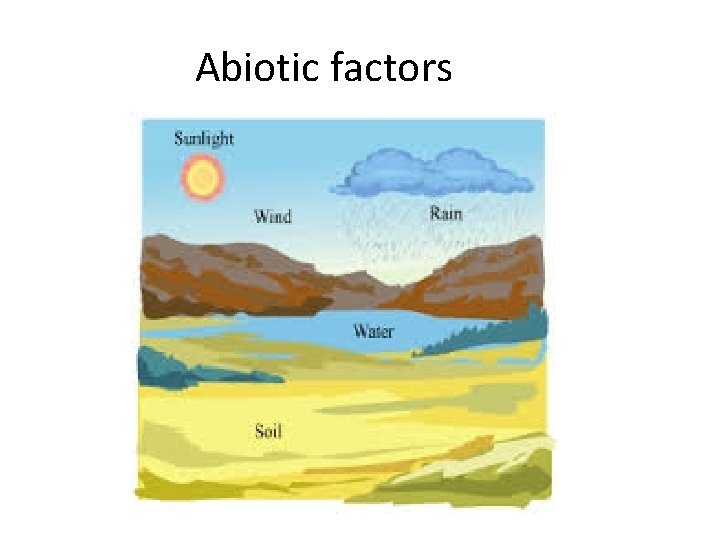 Abiotic factors 